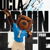 BruinLife: A Window into the UCLA Campus