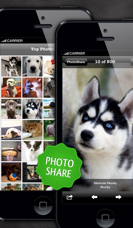 Dogs PRO - NATURE MOBILE - Dog Breed Guide and Quiz Game screenshot-4