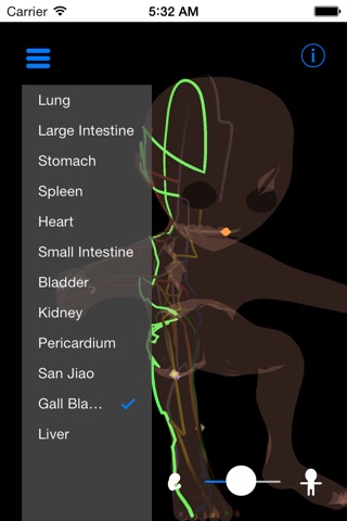 Acupuncture Meridians from Thalamic Neuron Theory screenshot 2