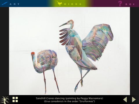 Art & Science of Birds screenshot 4