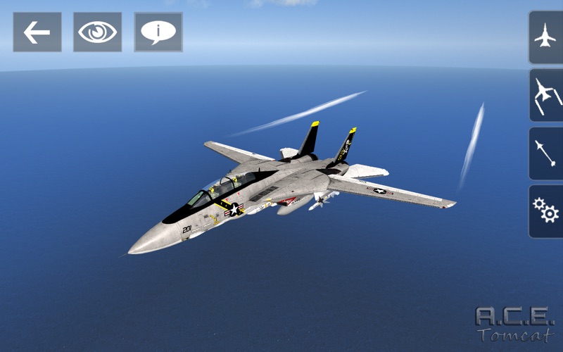 A.C.E. Tomcat thumbnail 1
