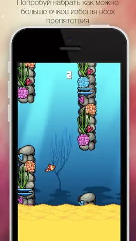 Game screenshot ПЛЕСКАЮЩАЙСЯ РЫБКА - Splashy Fish hack