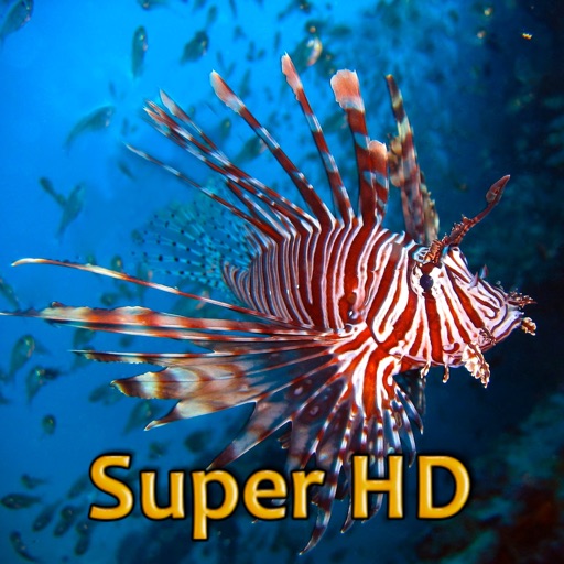 Tropical Fish Retina Super HD 2048 for new iPad icon