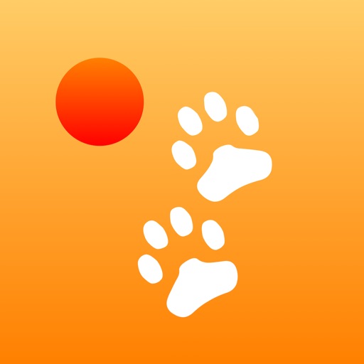 Cat's Ball iOS App