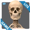 Skeletal Anatomy Game Lite