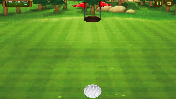 Golf Flick Crazy Extreme Course