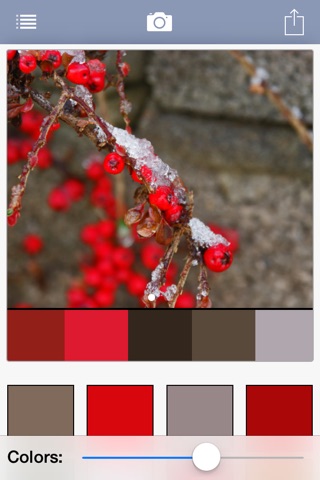 Color Palette App by The Tucker Brothers screenshot 2