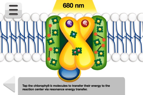 Biology Photosynthesis Lite screenshot 4