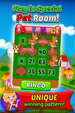 Game screenshot Bingo Carnival apk