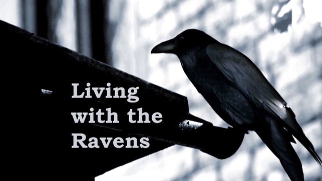 Ravens at the Tower(圖3)-速報App