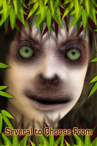 Funky Monkey Faces-Fun Animal Face Booth screenshot 4