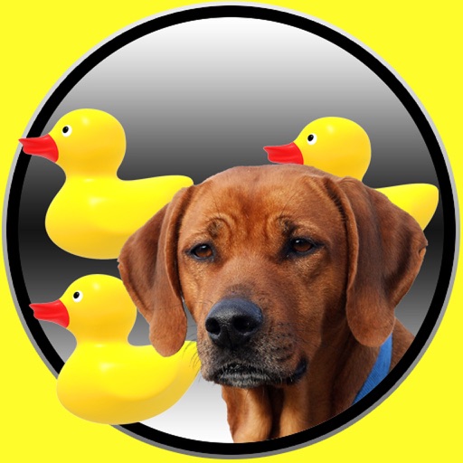 fun and dogs for babies icon