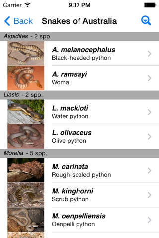 Snakes of Australia screenshot 3