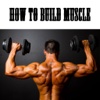 How To Build Muscle - Learn How To Build Muscle Fast From Home!