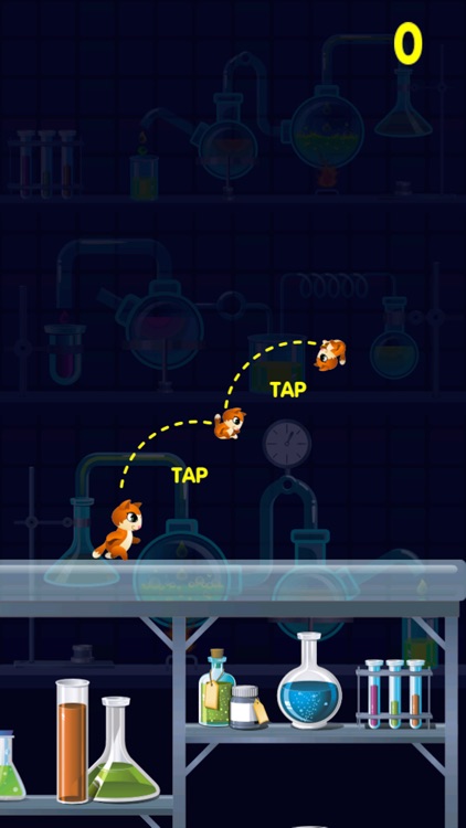 Kitty Cat Jump City - Don’t Get Boxed In Trying To Find Food