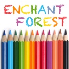 Enchanted Forest Coloring Book