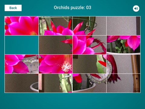 Orchids Sliding Jigsaw screenshot 2
