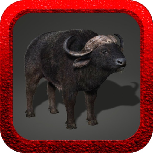 American Bison Hunting 2014 Pro Icon