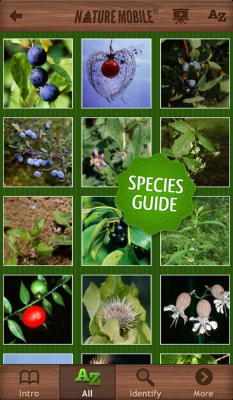 Wild Berries & Herbs - NATURE MOBILE Screenshot 2