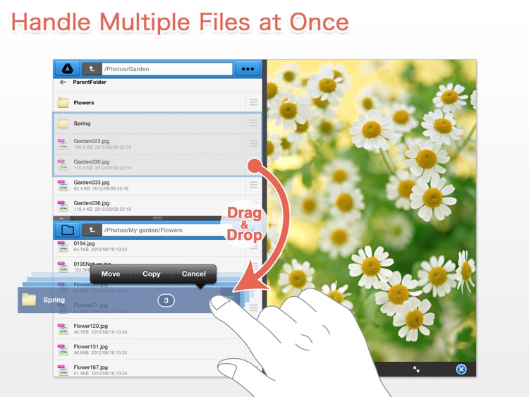 OneCrane for iPad - FileCrane for OneDrive screenshot-4