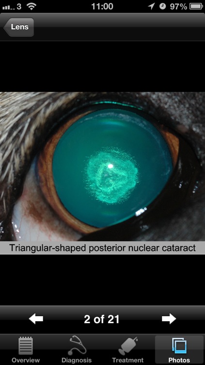 Canine Ophthalmology