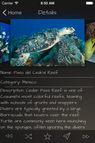 Coral Reefs Wiki + screenshot 2