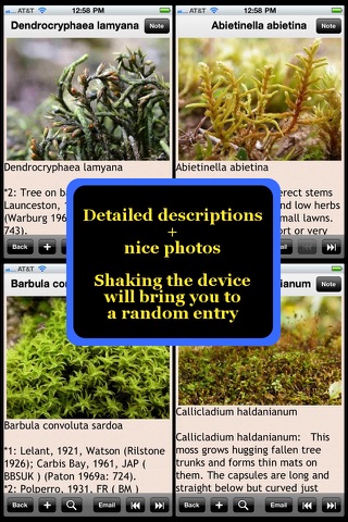 Moss Plant Bible screenshot 3