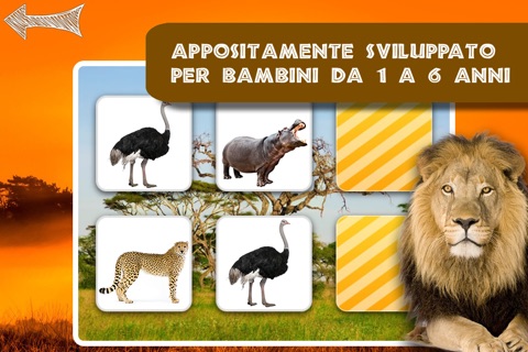 Memo Game Wild Animals Photo screenshot 2