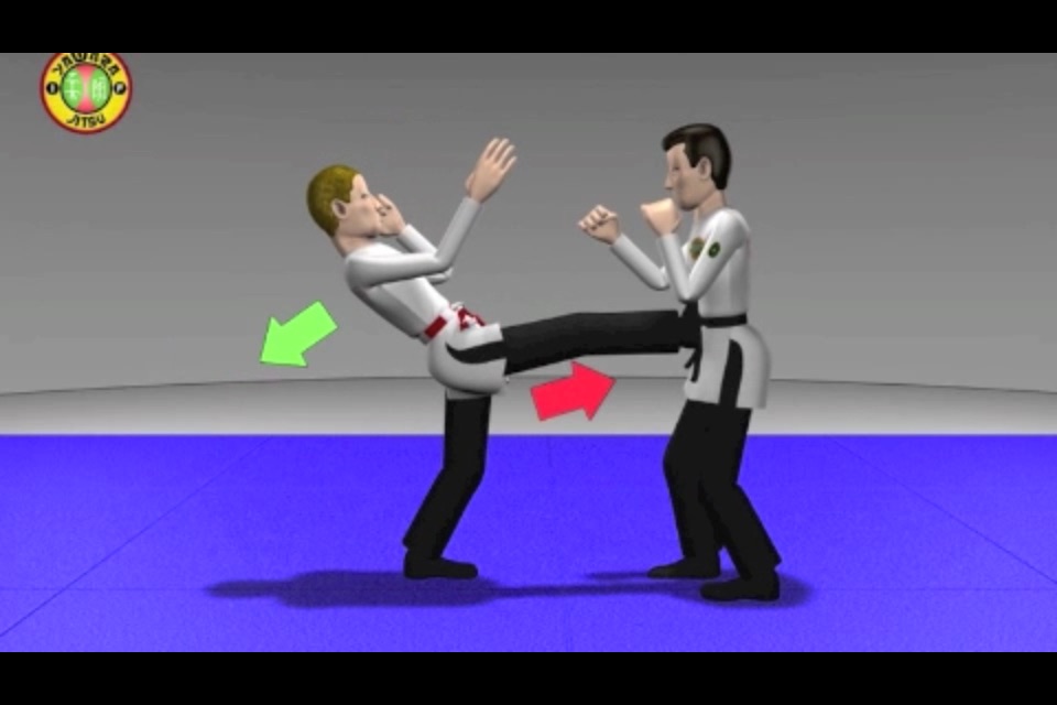 Self Defense - The Best Martial Arts Course with 3D animations Lite screenshot 2