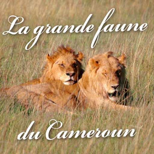 Animals in Cameroon