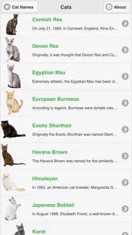 Game screenshot Cat Breeds Free mod apk