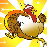 A Turkey Pet Rescue World- The Best Tree Village Mini Bird Flyer Free Adventure PC 용