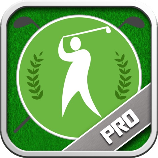 Pro Golf 2014