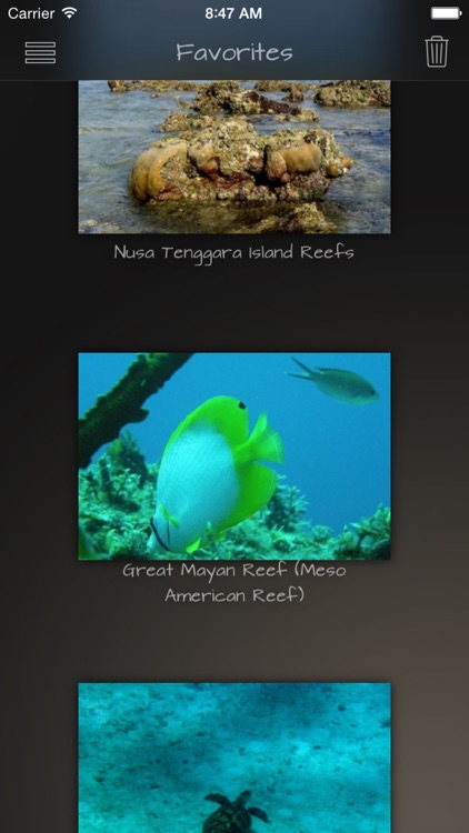 Coral Reefs Wiki +