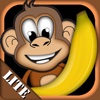 Monkey & Bananas for iPad