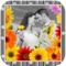 Photo Effects and Frames is an amazing app to make beautiful photos in seconds