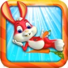 Rabbit explorer Free