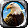 Eagle Flight Control Pro Game Full Version
