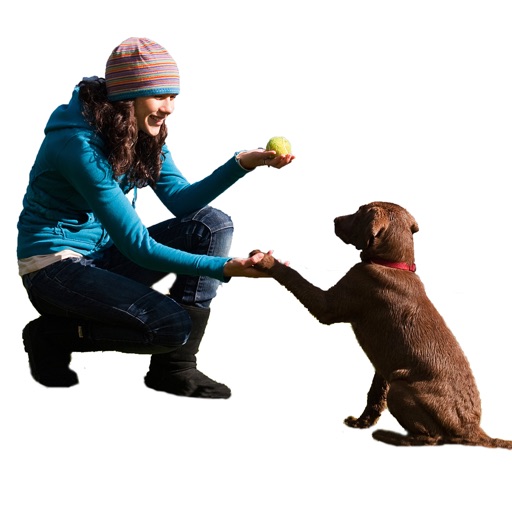 Dog Training Guide - Learn To Train Your Dog icon