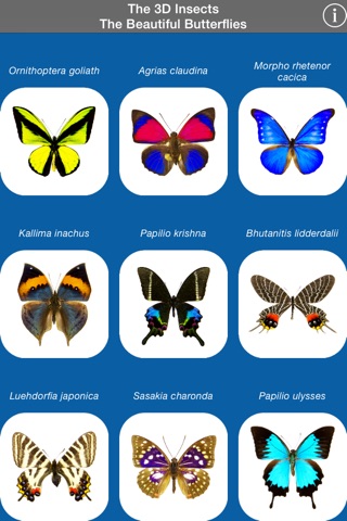 The 3D Insects II screenshot 2