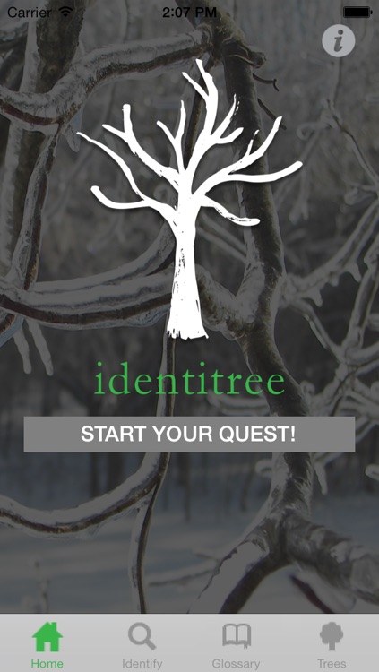 Identitree Starter Kit