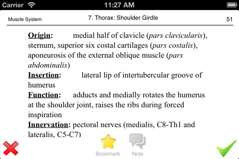 Muscle System Flashcards screenshot 3