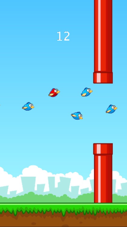 Funny Smash Clumsy Bird Rush