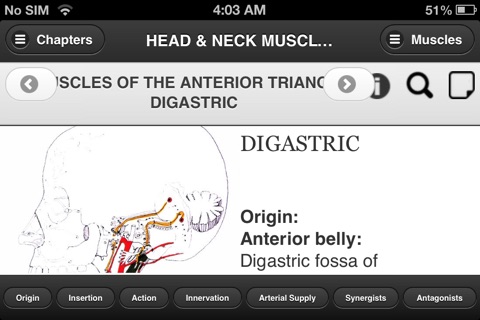 Flash Anatomy Head & Neck Muscles screenshot 2