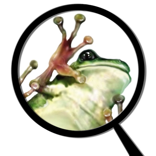 Froguts Frog Dissection HD for iPad iOS App