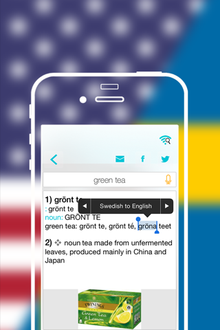 Offline Swedish to English Language Dictionary, Translator - Svenska till engelska ordbok screenshot 4