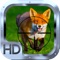 Fox Hunting Gold: Hunter Rush