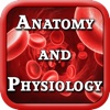 Anatomy & Physiology I and II