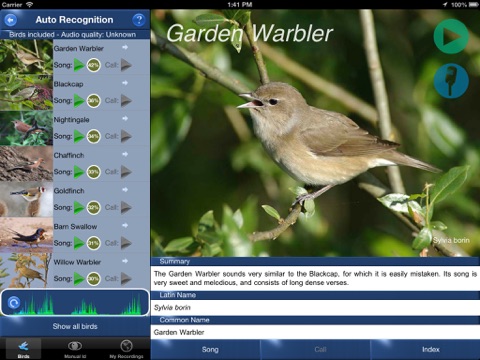 Garden Bird Identification Chart Download