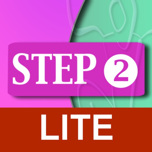 Step 2 lite icon